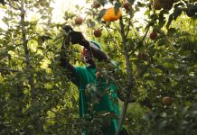 Què hi ha darrere d’un aliment ecològic?